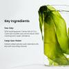 imageBIODANCE Clear Glow Mask Duo Bio Collagen ampamp Refreshing Sea Kelp Real Deep Mask