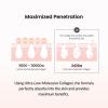 imageBIODANCE Collagen Duo BioCollagen Real Deep Mask ampamp Collagen Ampoule