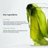 imageBIODANCE Refreshing Sea kelp Real Deep Mask Overnight Hydrogel Mask Calming Oil ampamp Sebum Control Blemish Care 119oz34g x 4ea